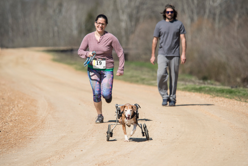 MSU College of Veterinary Medicine/Alpha Psi Rho Chapter's 5K Dog Dash
