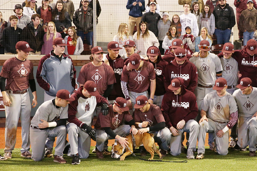 Members of MSU's baseball team scratch the back of school's bulldog mascot prior to a photo